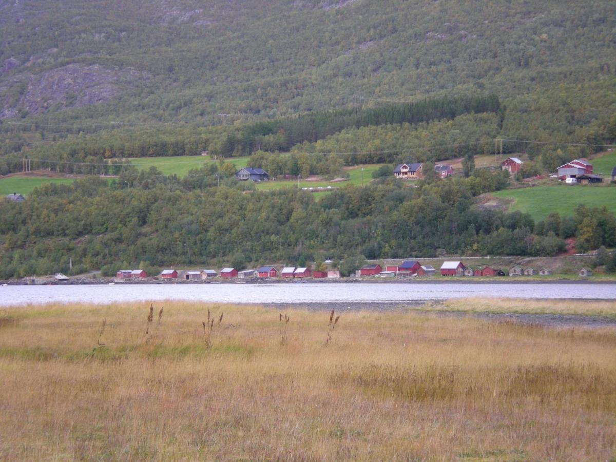 Basecamp Birtavarre Kültér fotó
