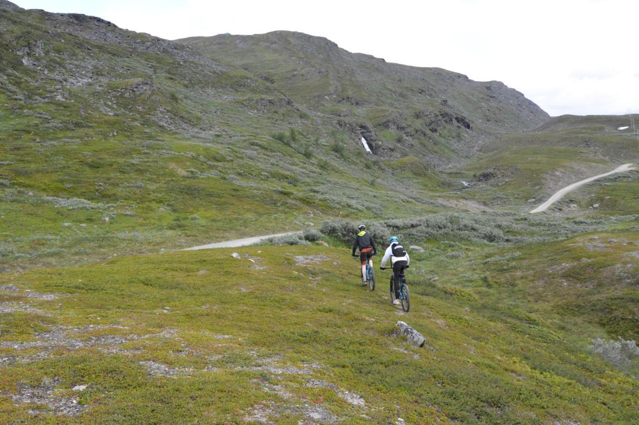 Basecamp Birtavarre Kültér fotó