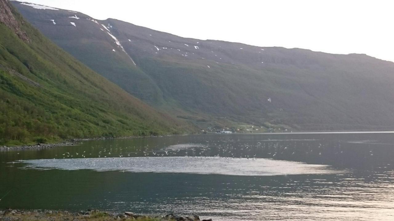 Basecamp Birtavarre Kültér fotó